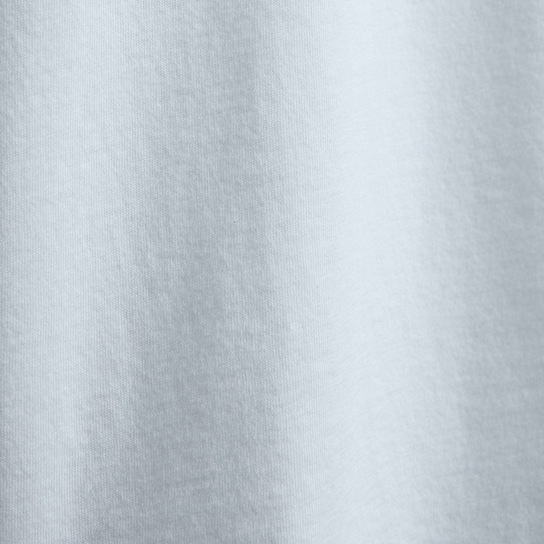 Brushed Lotus Long Sleeve Crew in Memory | James Perse Los Angeles