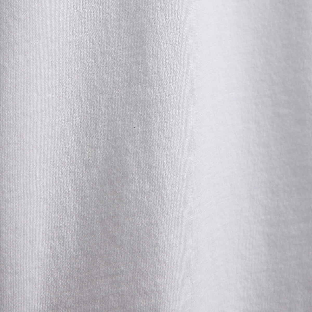 Brushed Lotus Long Sleeve Crew - White