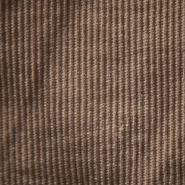 Venice Beach Cord Short in Sand Dune Pigment | James Perse Los Angeles