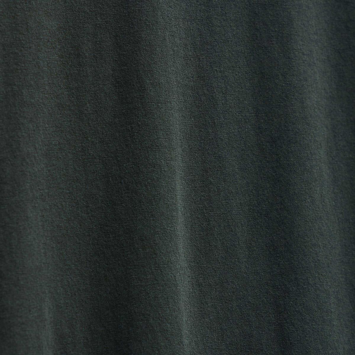 Clear Jersey Crew in Fern | James Perse Los Angeles