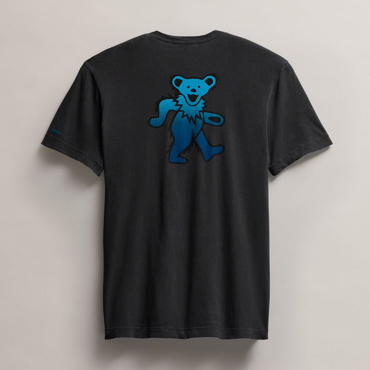 Men's Grateful Dead Gradient Bear in Carbon Pigment | James Perse Los Angeles