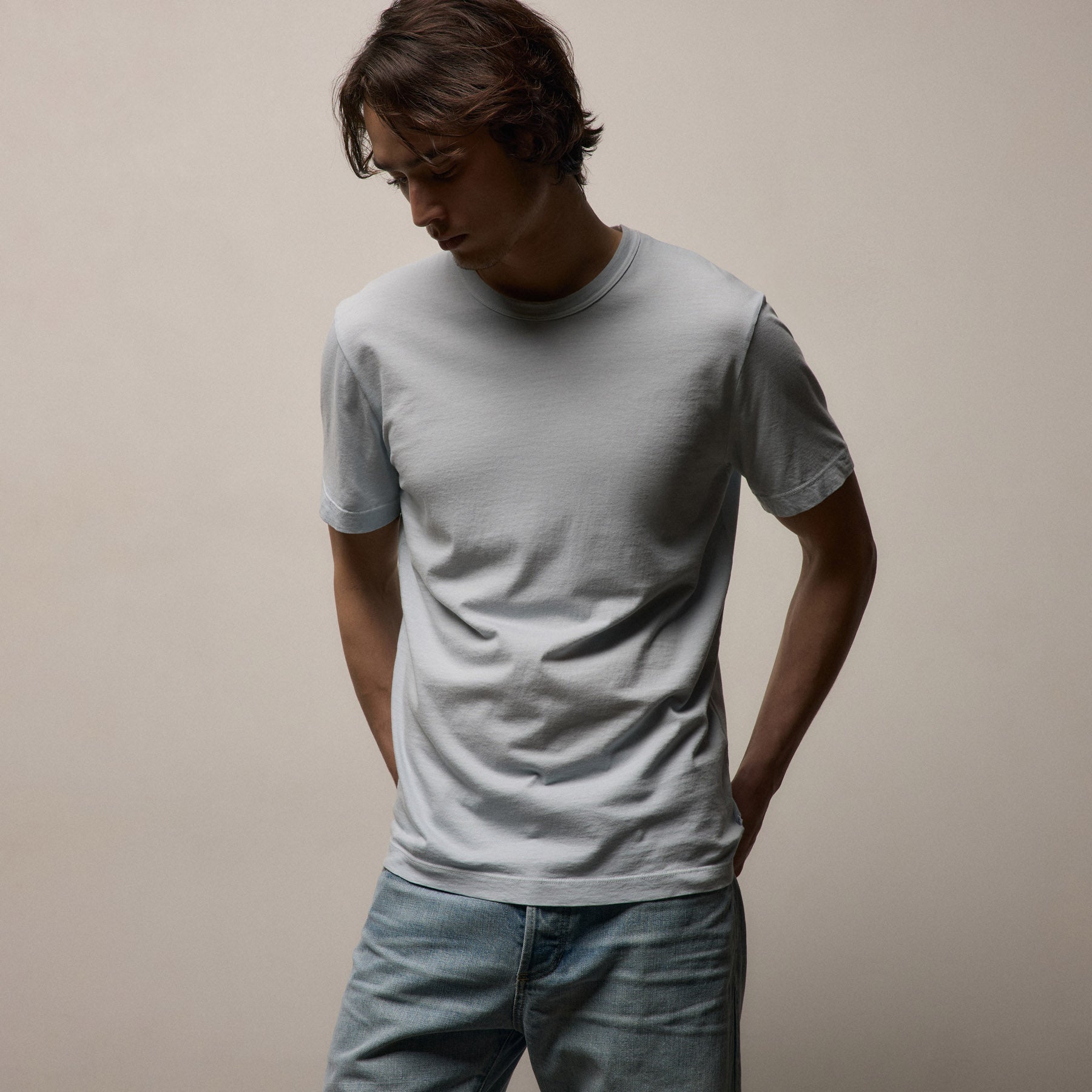 Short Sleeve Crew Neck in Memory Pigment | James Perse Los Angeles