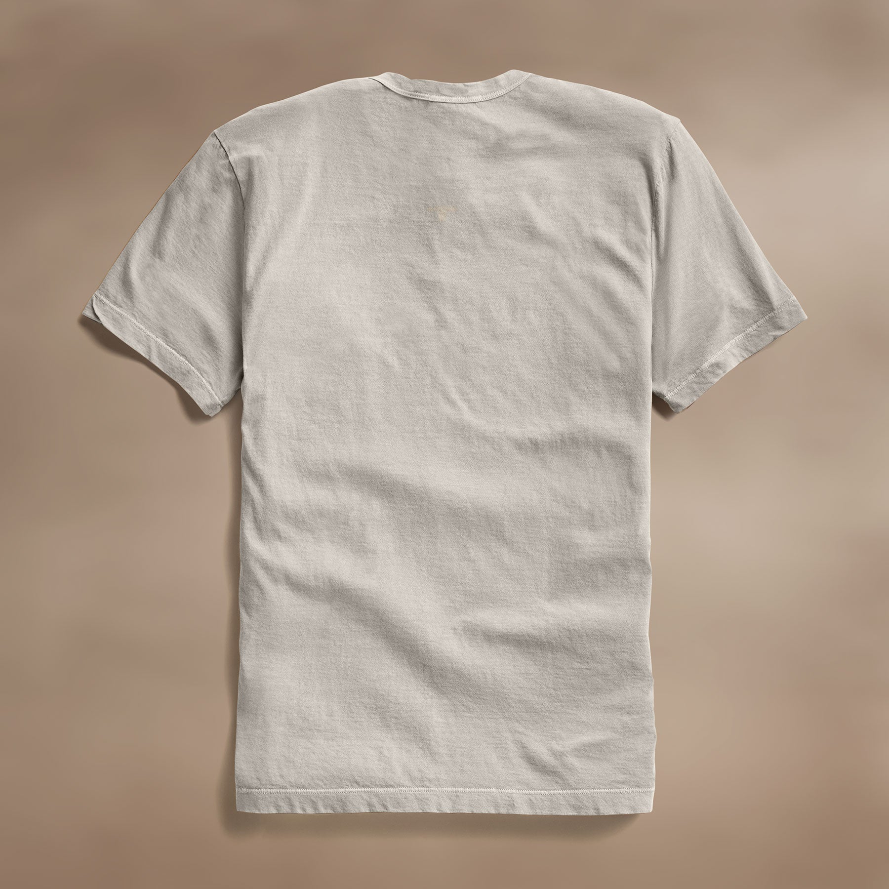 Short Sleeve Crew Neck in Salt Pigment | James Perse Los Angeles