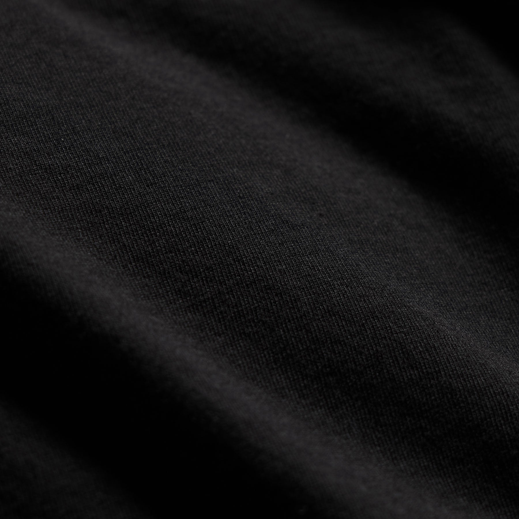 Long Sleeve Crew Neck in Black | James Perse Los Angeles