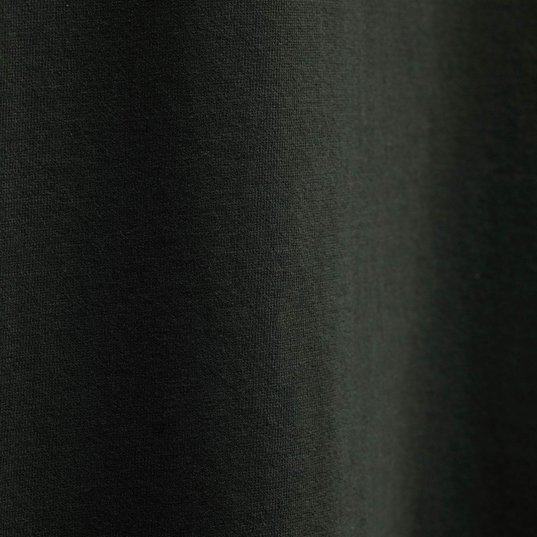 Heavy Luxe Jersey Crew - Fern