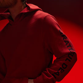 Grateful Dead Hoodie in Sunstone/Deep | James Perse Los Angeles