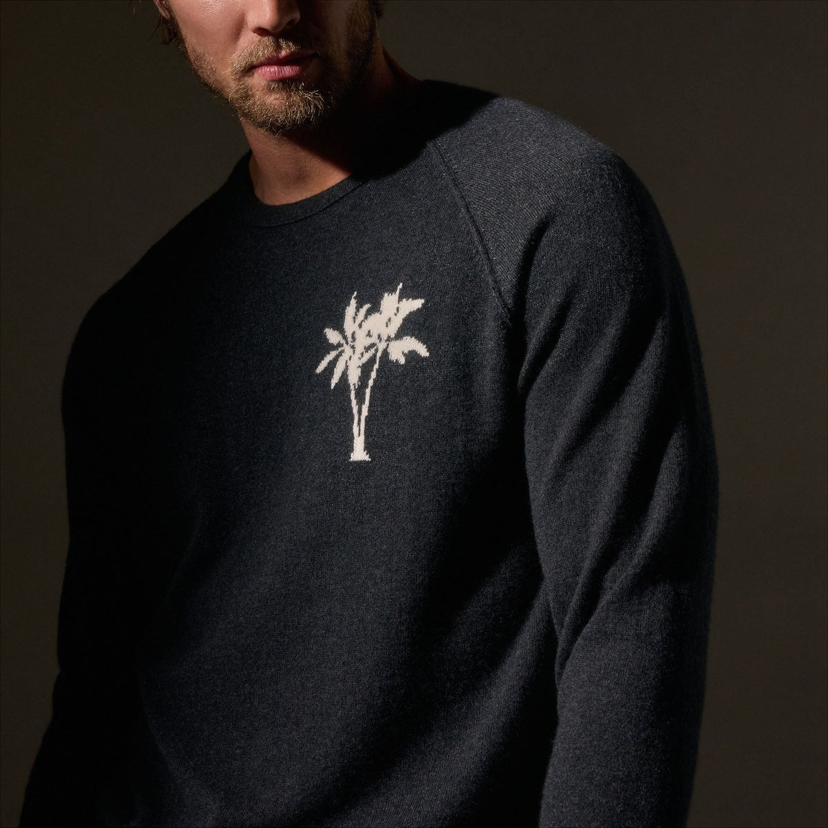 Recycled Cashmere Palm Crew in Coal | James Perse Los Angeles