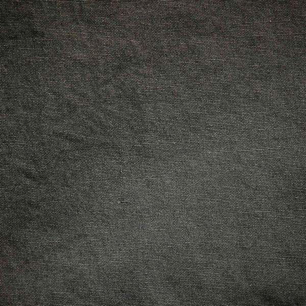 Parachute Flight Pant in Marsh Pigment | James Perse Los Angeles