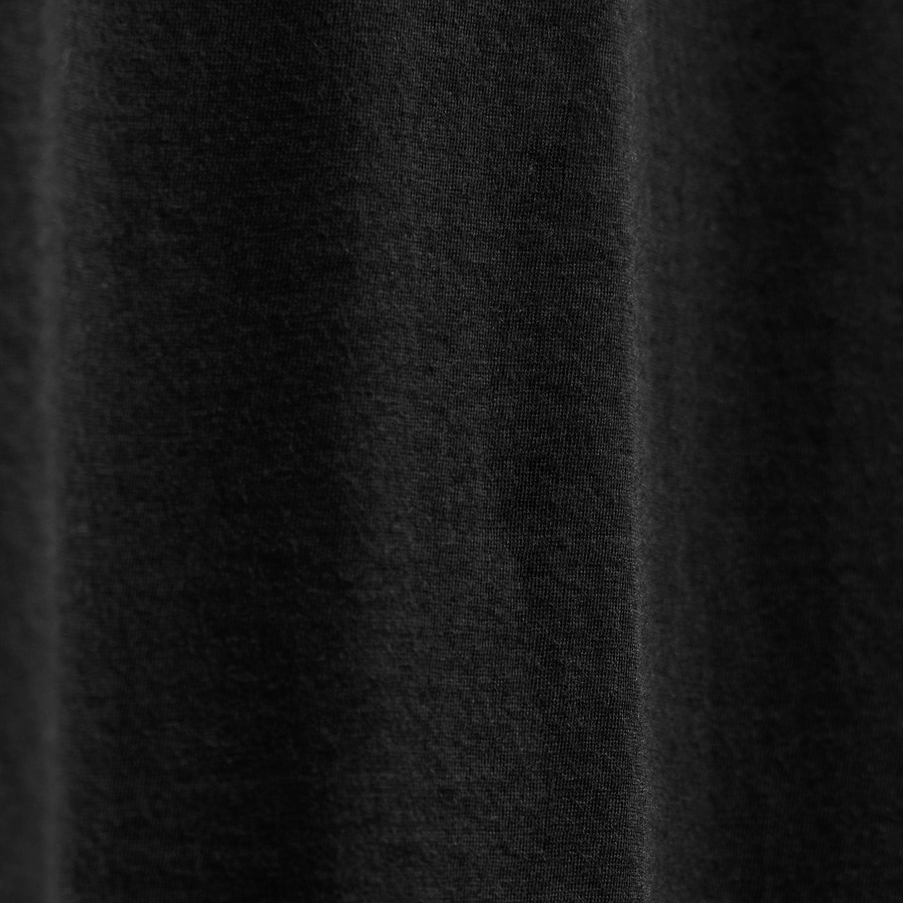 Luxe Lotus Jersey Crew in Black | James Perse Los Angeles