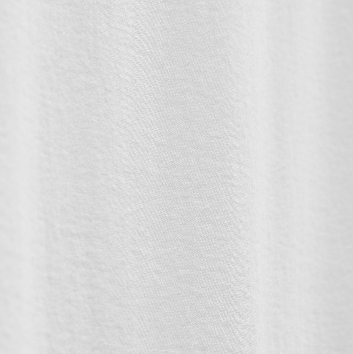 Luxe Lotus Jersey Crew in White | James Perse Los Angeles