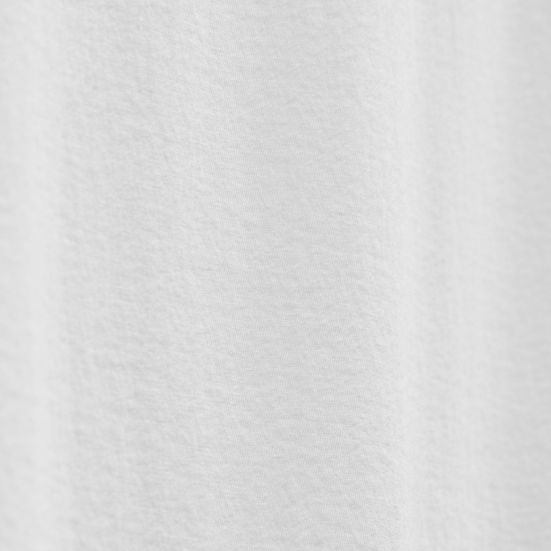 Luxe Lotus Jersey Crew in White | James Perse Los Angeles