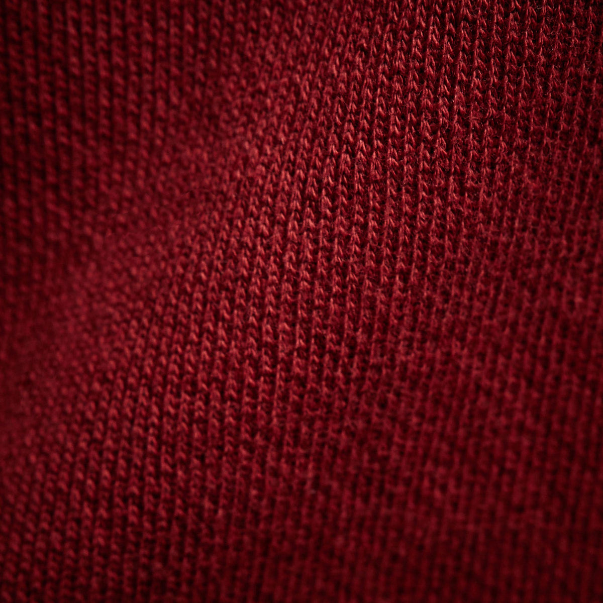 Grateful Dead Hoodie in Sunstone/Deep | James Perse Los Angeles