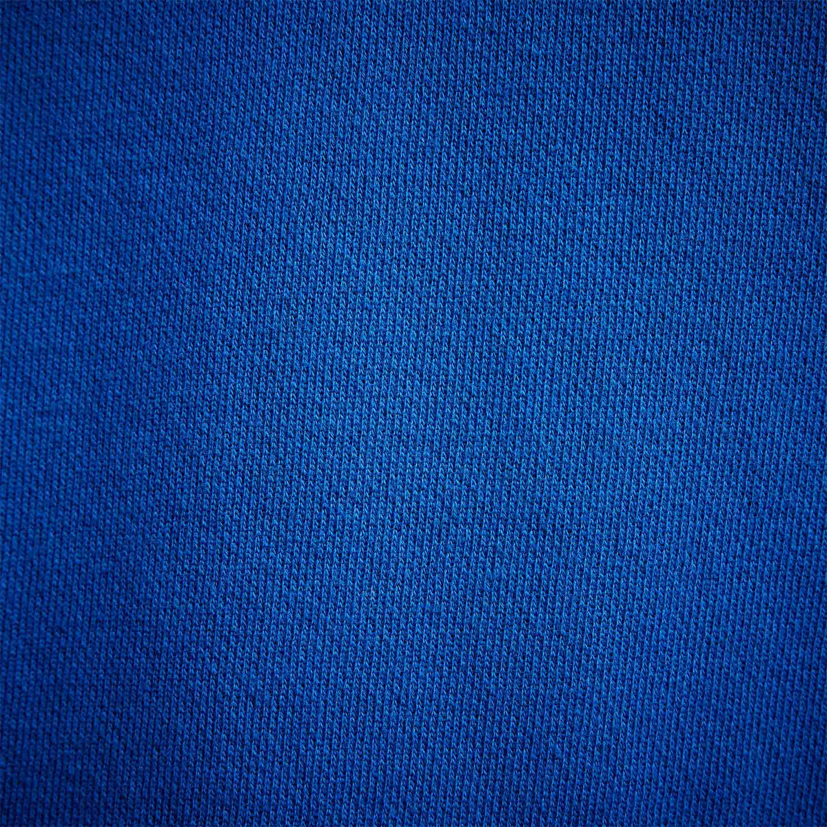 Y/Osemite French Terry Pullover Hoody in Royal Blue/White | James Perse Los Angeles