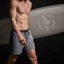 Double Stripe Board Short in Dusk/True Navy/Carbon/Laurel | James Perse Los Angeles