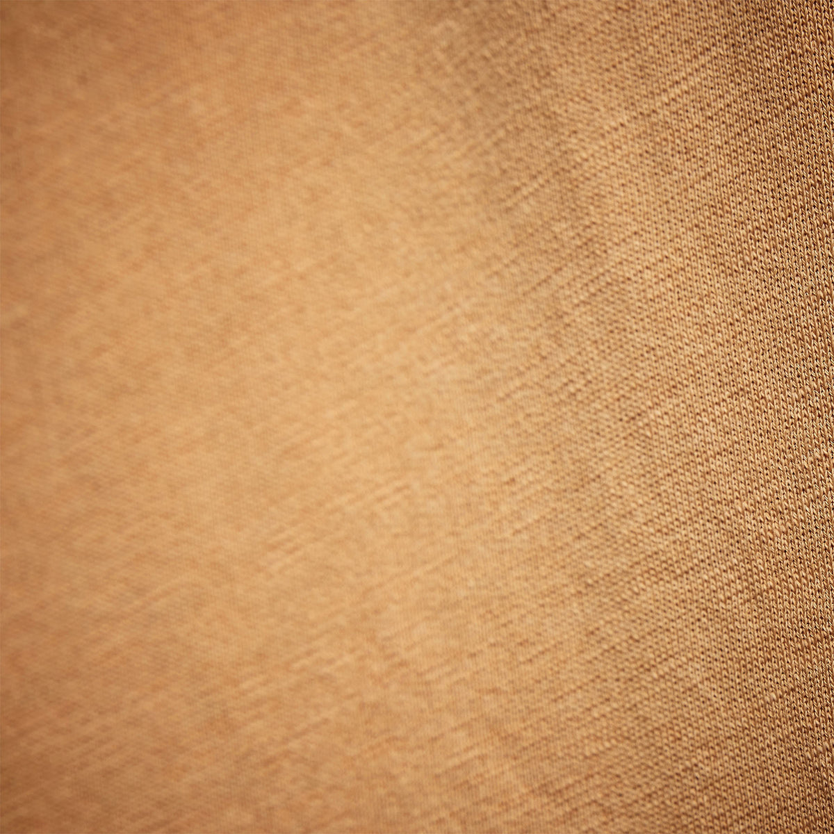 Vintage French Terry Sweatshirt in Apricot Pigment | James Perse Los Angeles 