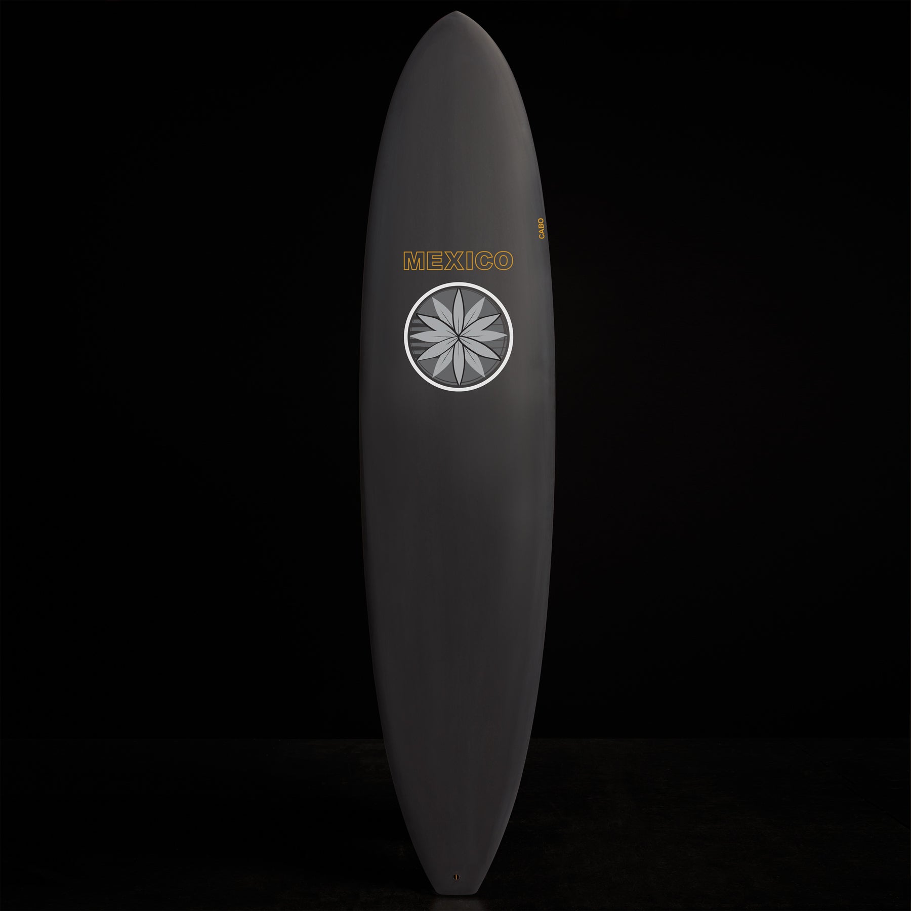Cabo Mexico Longboard 7' X 10" in Black | James Perse Los Angeles