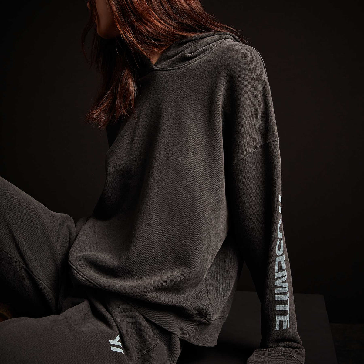 Y/OSEMITE Graphic Pullover Hoody - Carbon Pigment/Calistoga | James Perse Los Angeles